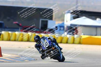 media/Feb-12-2022-SoCal Trackdays (Sat) [[3b21b94a56]]/Turn 2 (1045am)/